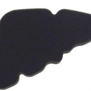 FILTER ZRAKA LIBERTY 50 4T PTT