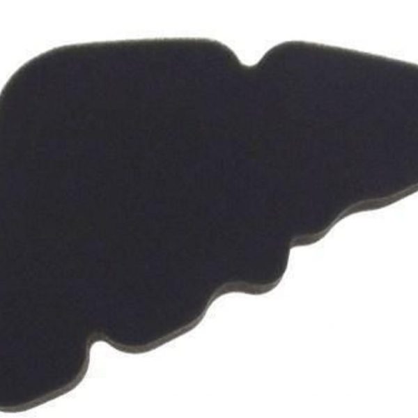 FILTER ZRAKA LIBERTY 50 4T PTT