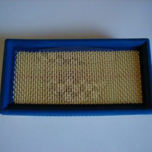 FILTER ZRAKA PEGASO STRADA 05