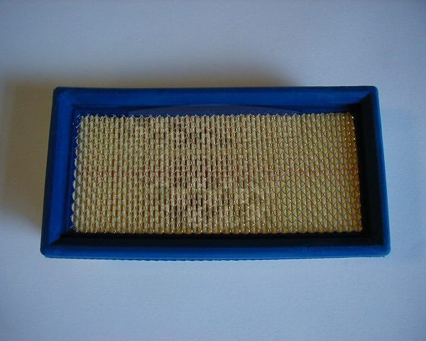 FILTER ZRAKA PEGASO STRADA 05