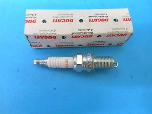 CHAMPION RA4HC SVJEČICA